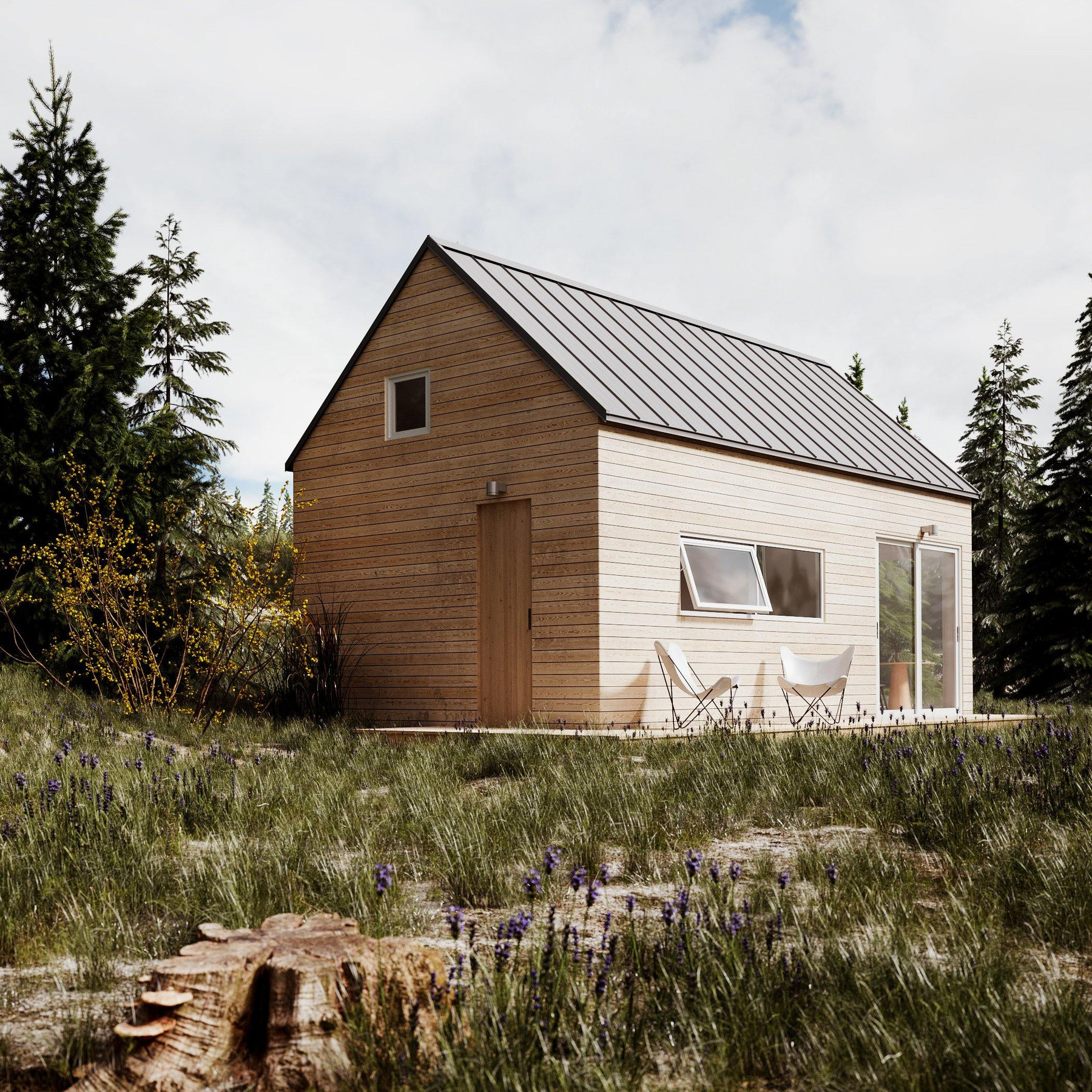 Modern Cottage view 1