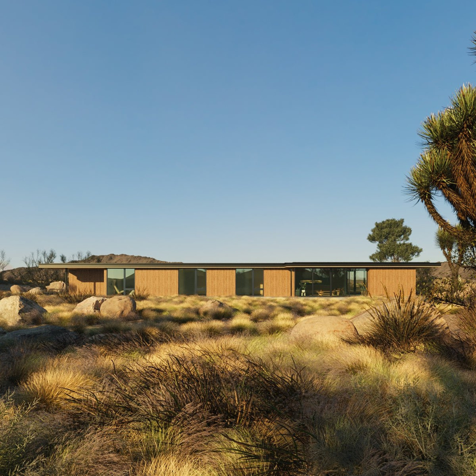 Studio House view 2