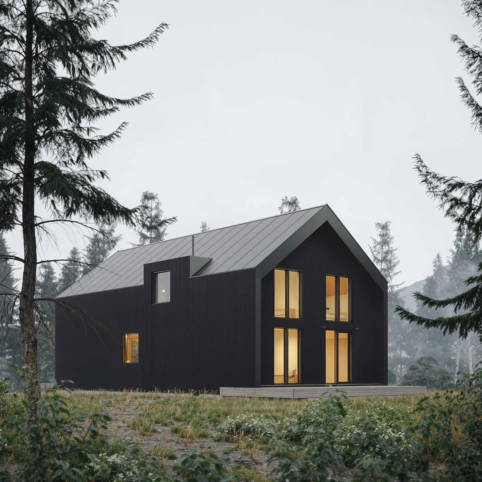 Modern Alpine Family view 8