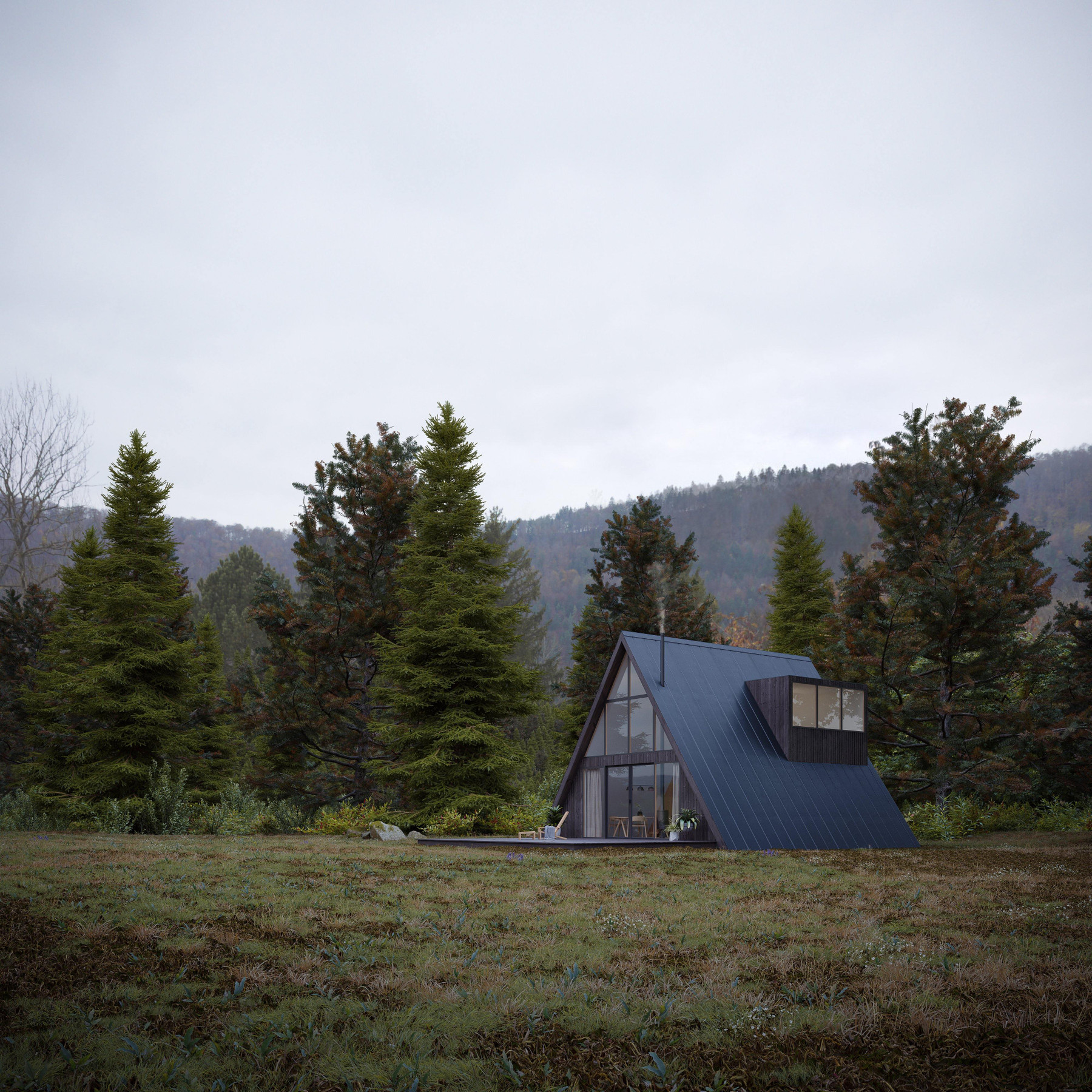 A-Frame House view 1
