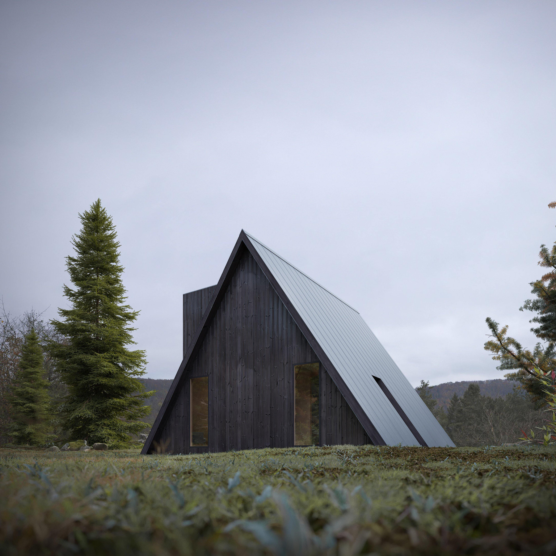 A-Frame House view 6