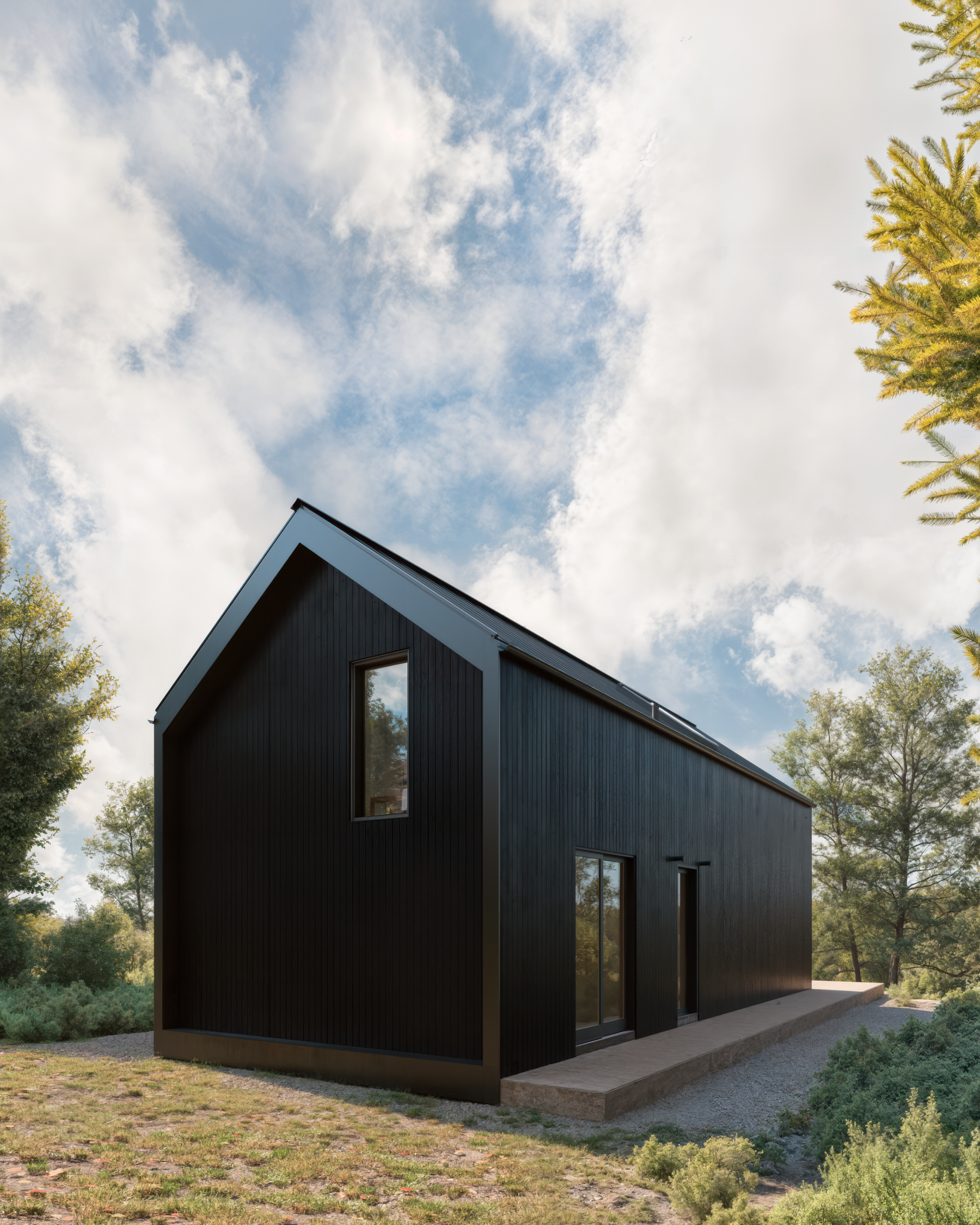 Modern Alpine Medium view 8