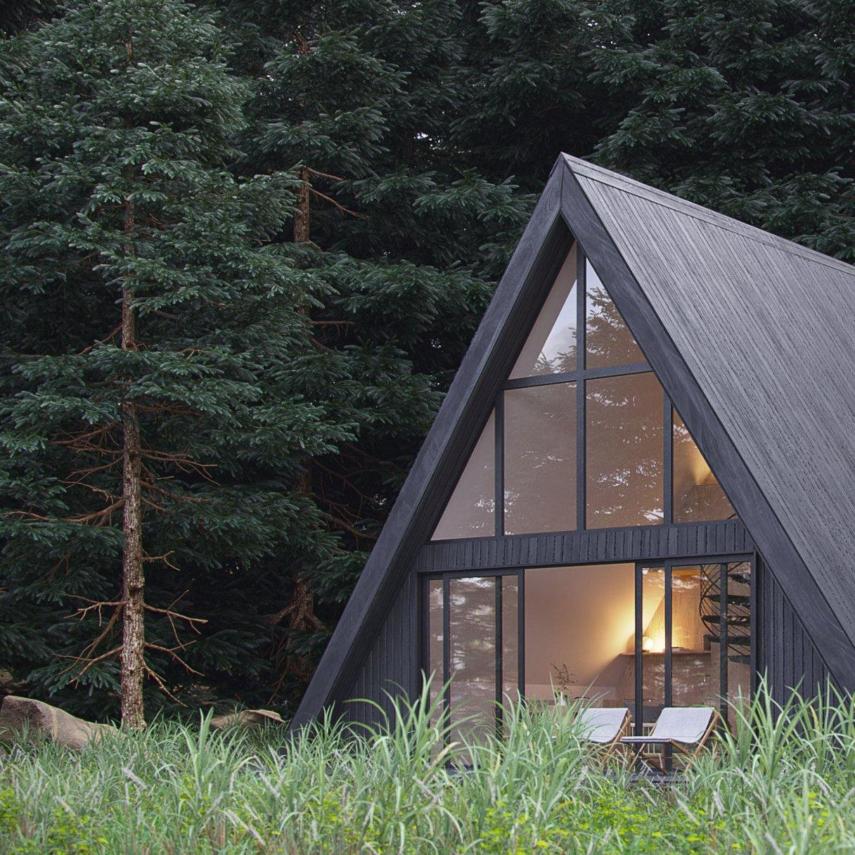A-Frame Retreat view 1