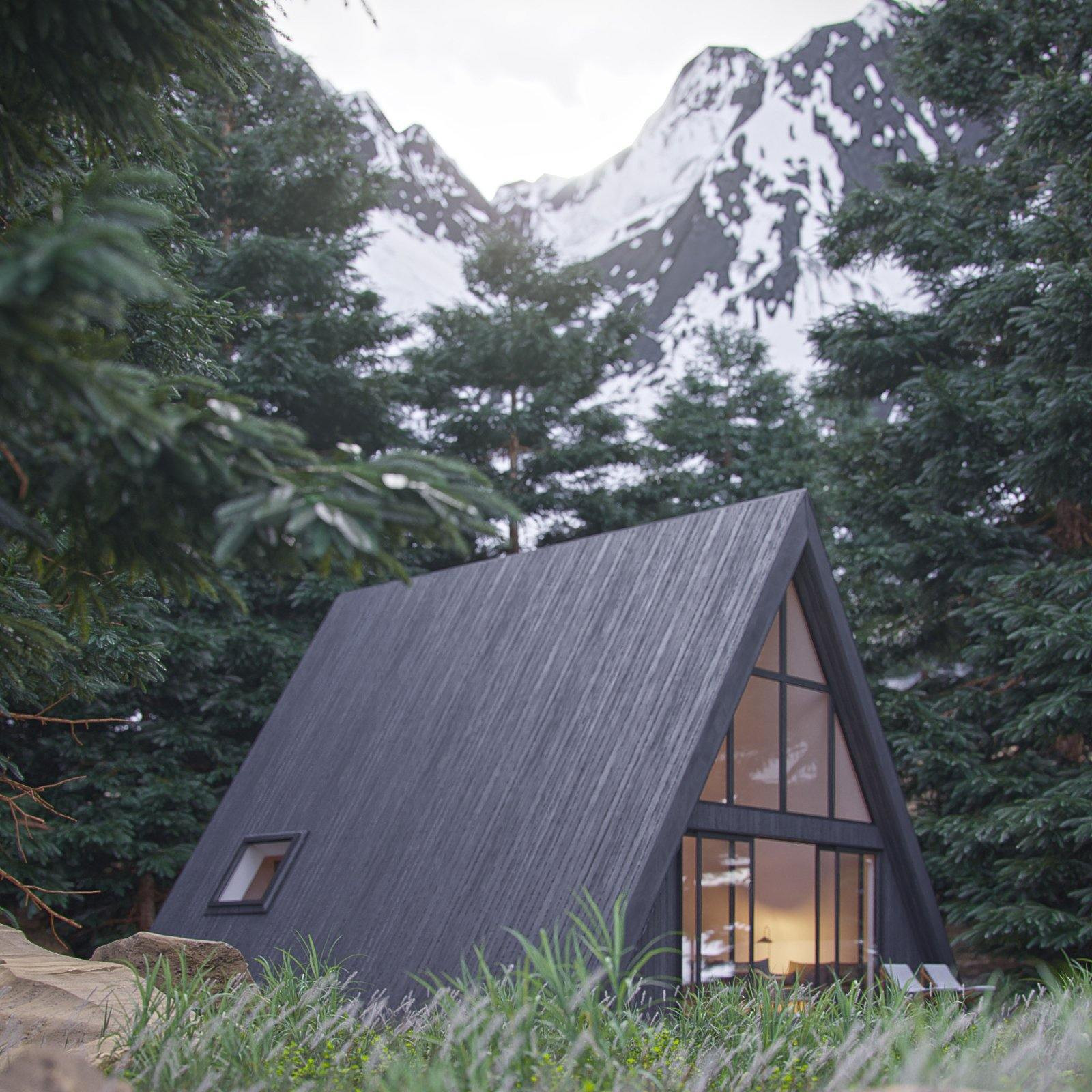 A-Frame Retreat view 9