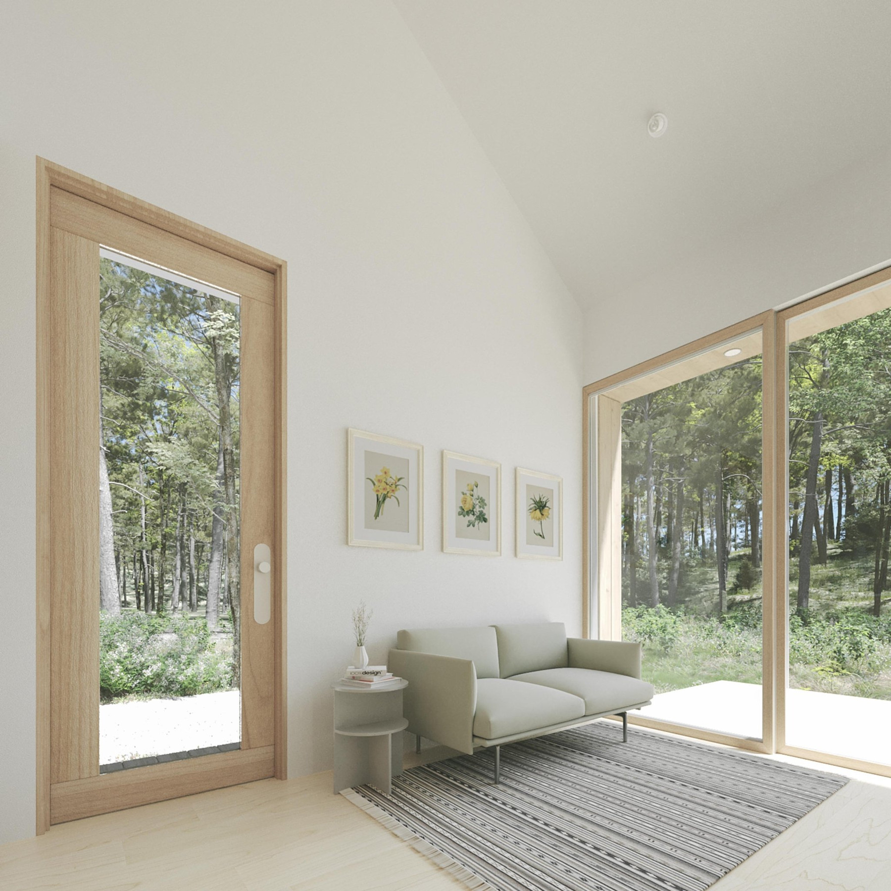 Ascent ADU view 7
