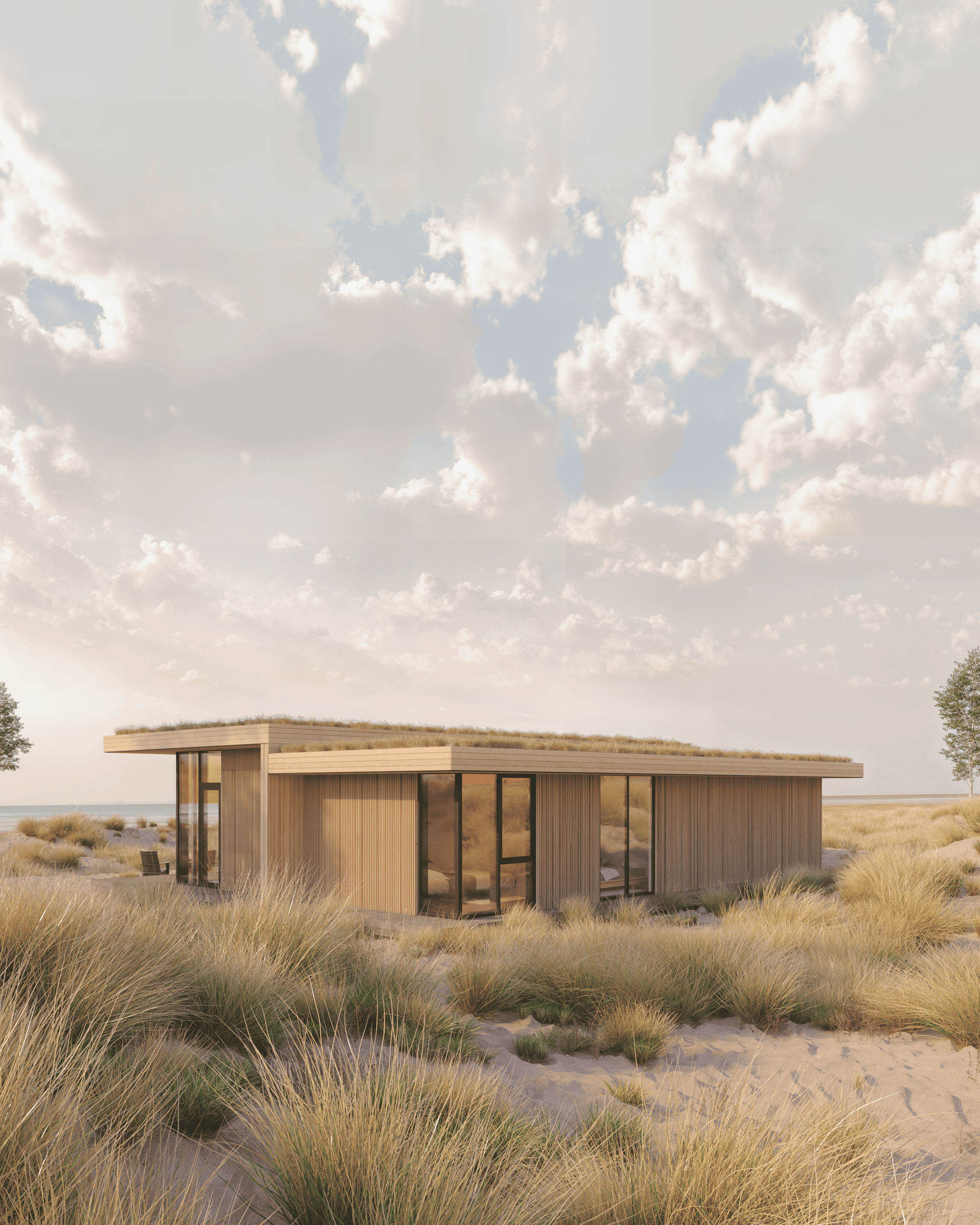 Linear House Family view 10