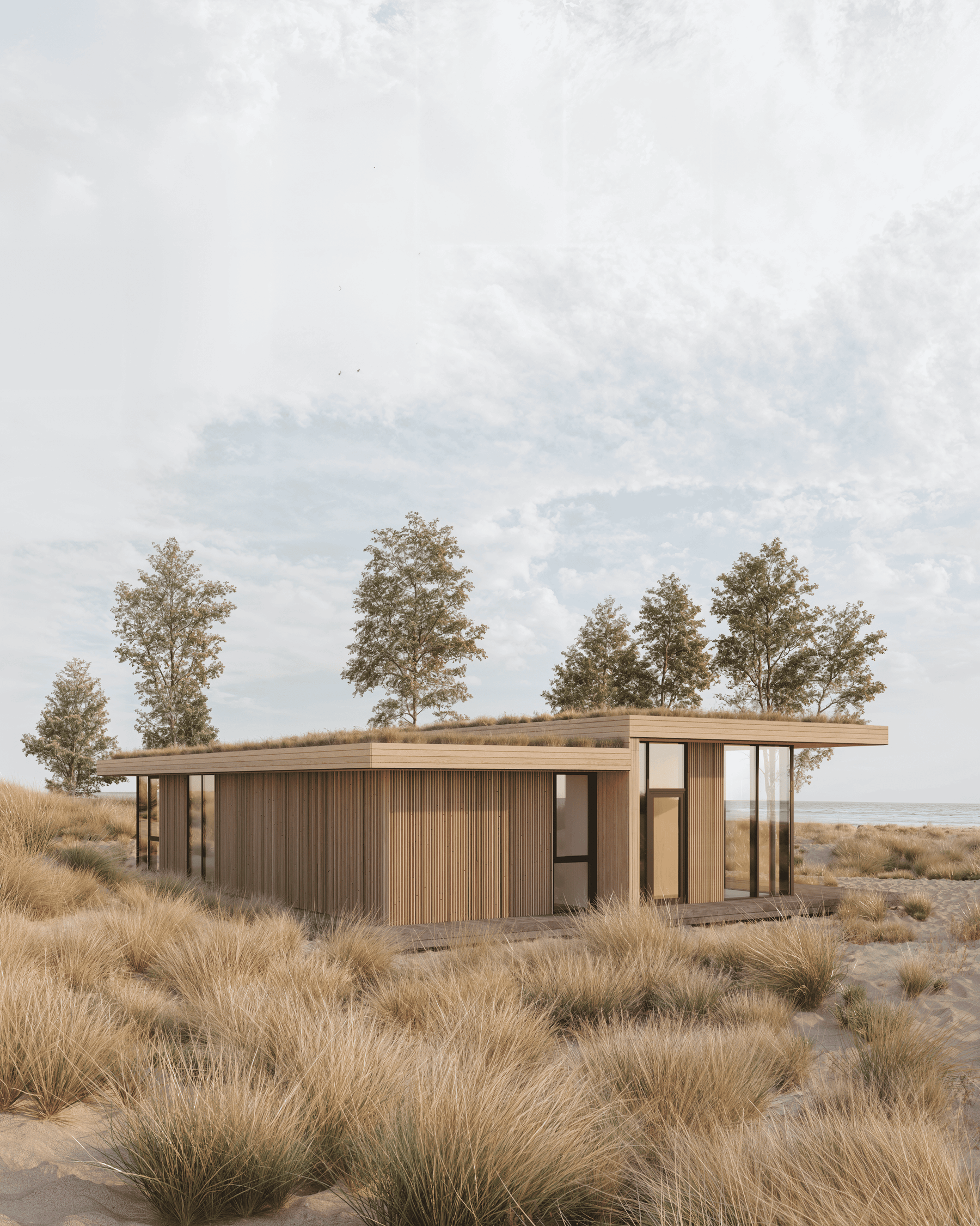 Linear House Family view 11