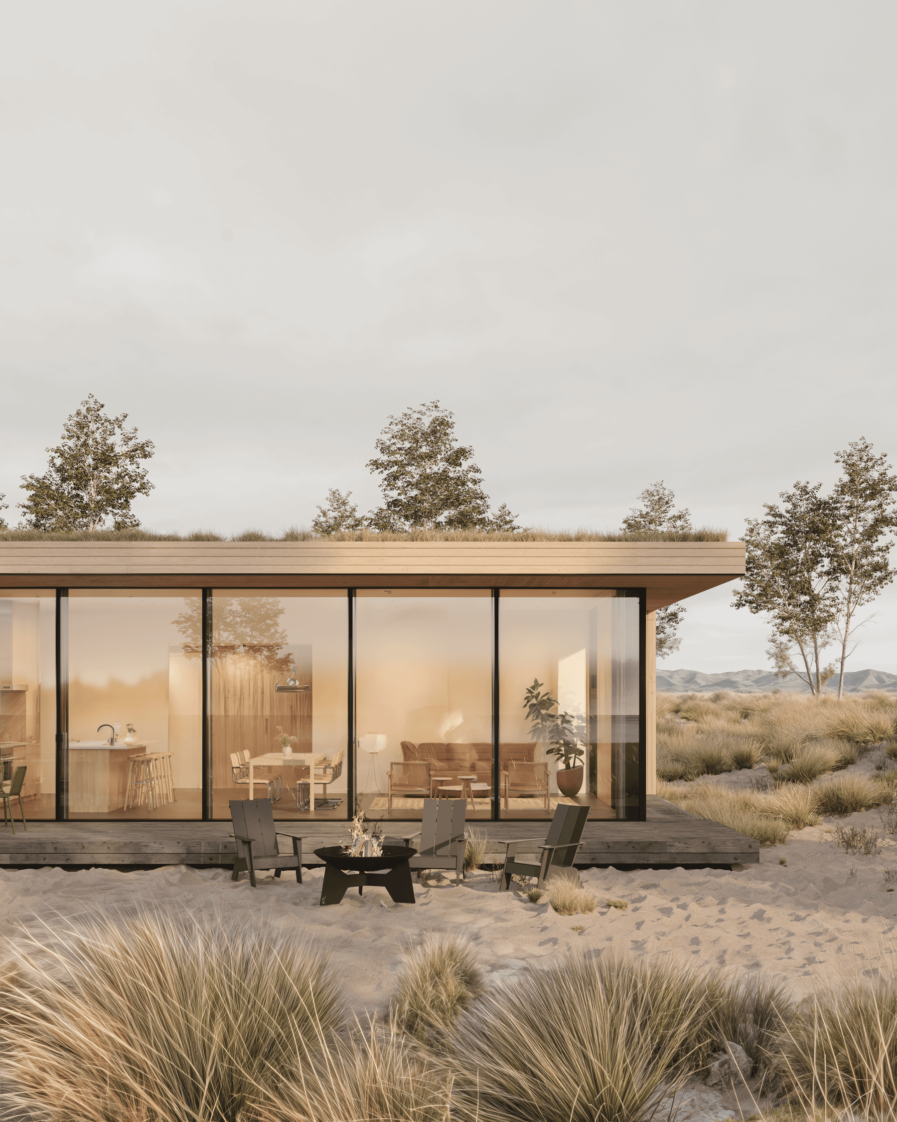 Linear House Family view 12