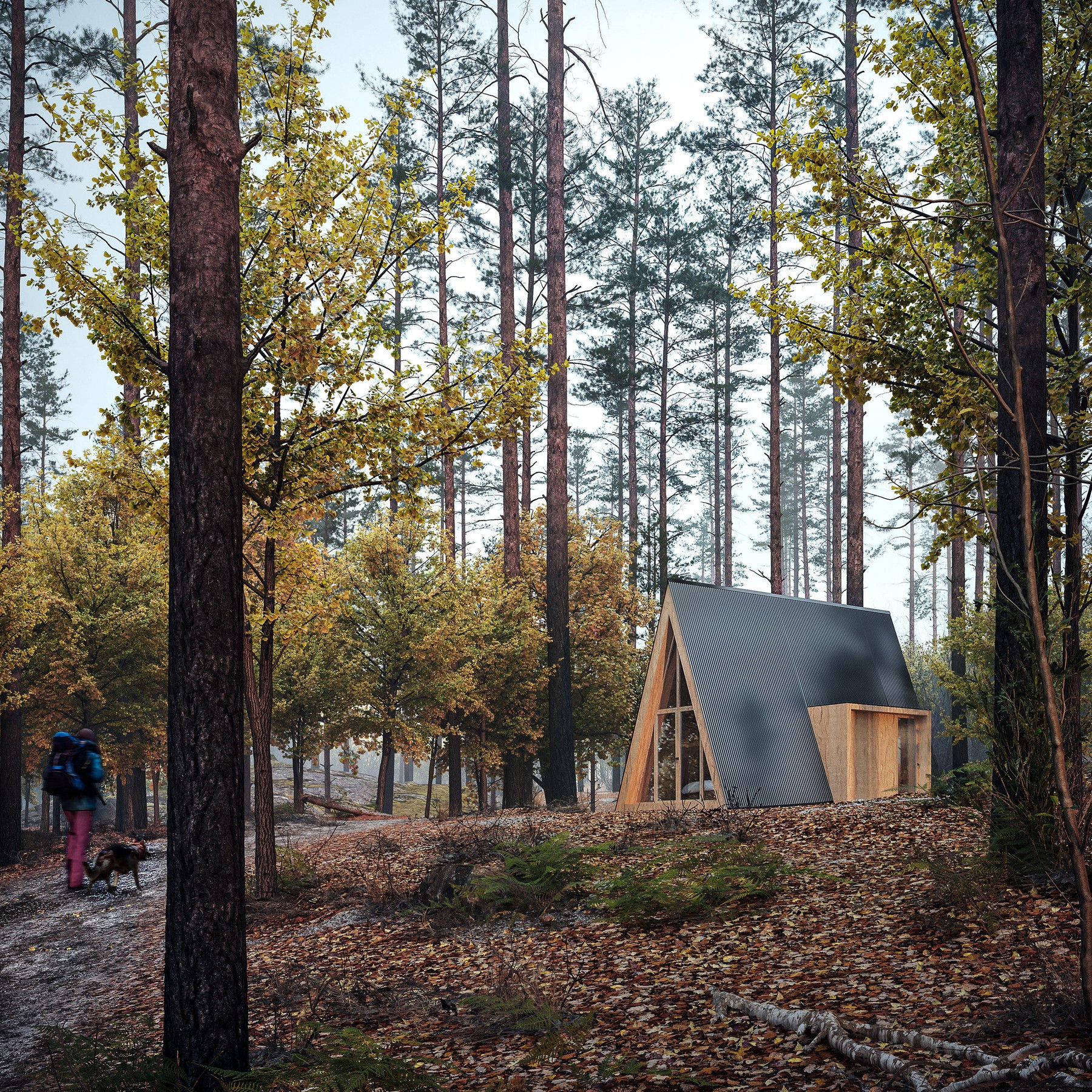 A-Frame Weekender view 1