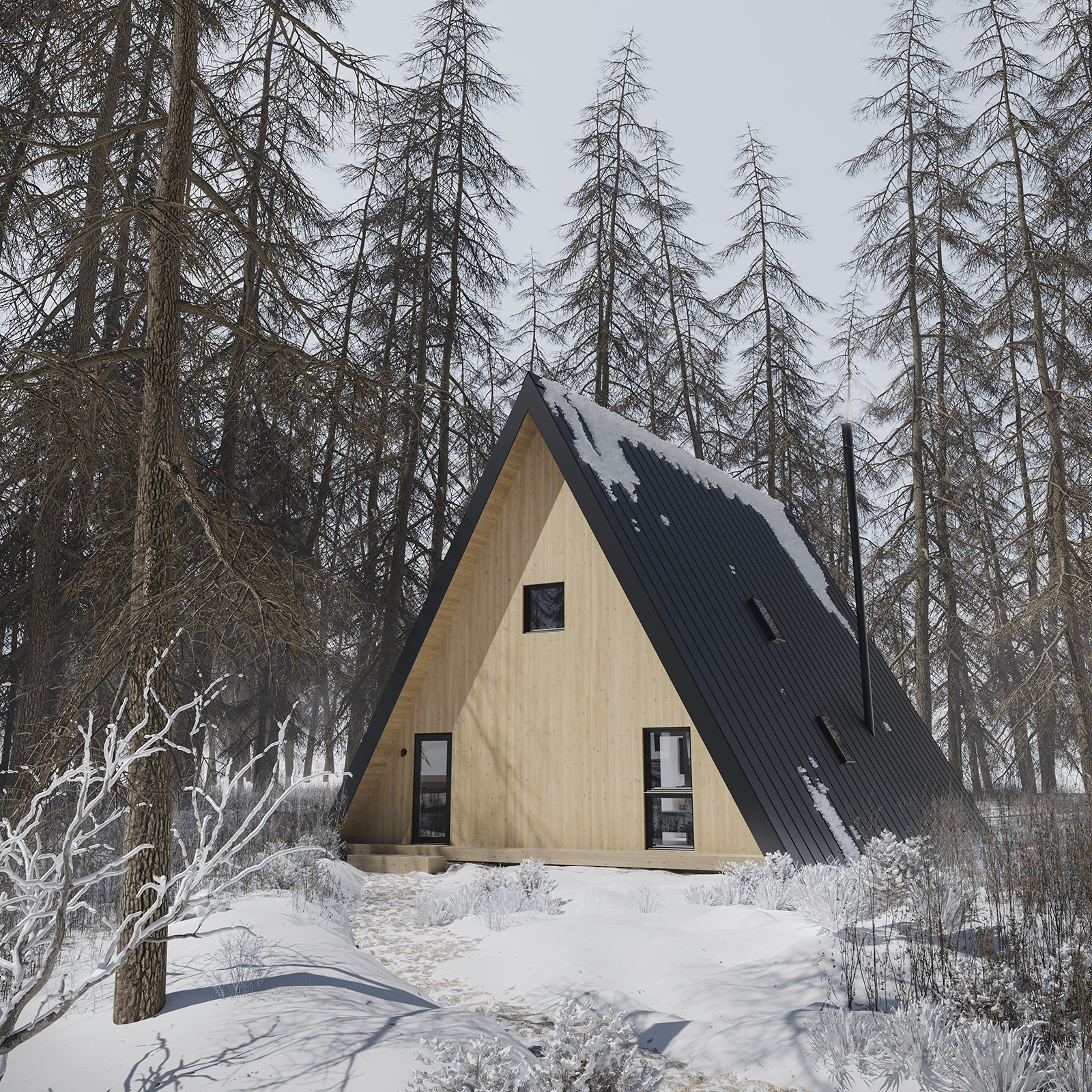 A-Frame House Plus view 5