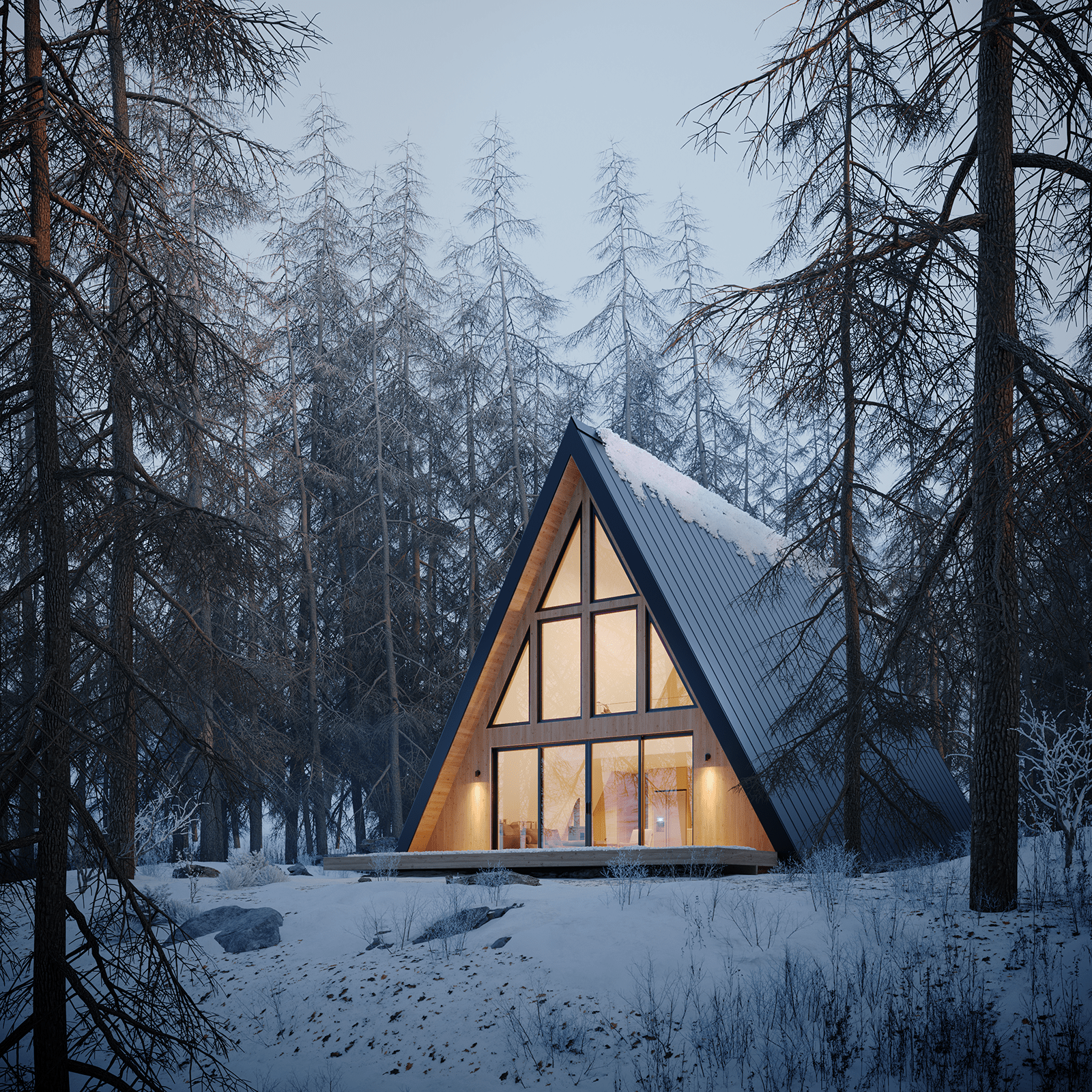 A-Frame House Plus view 6