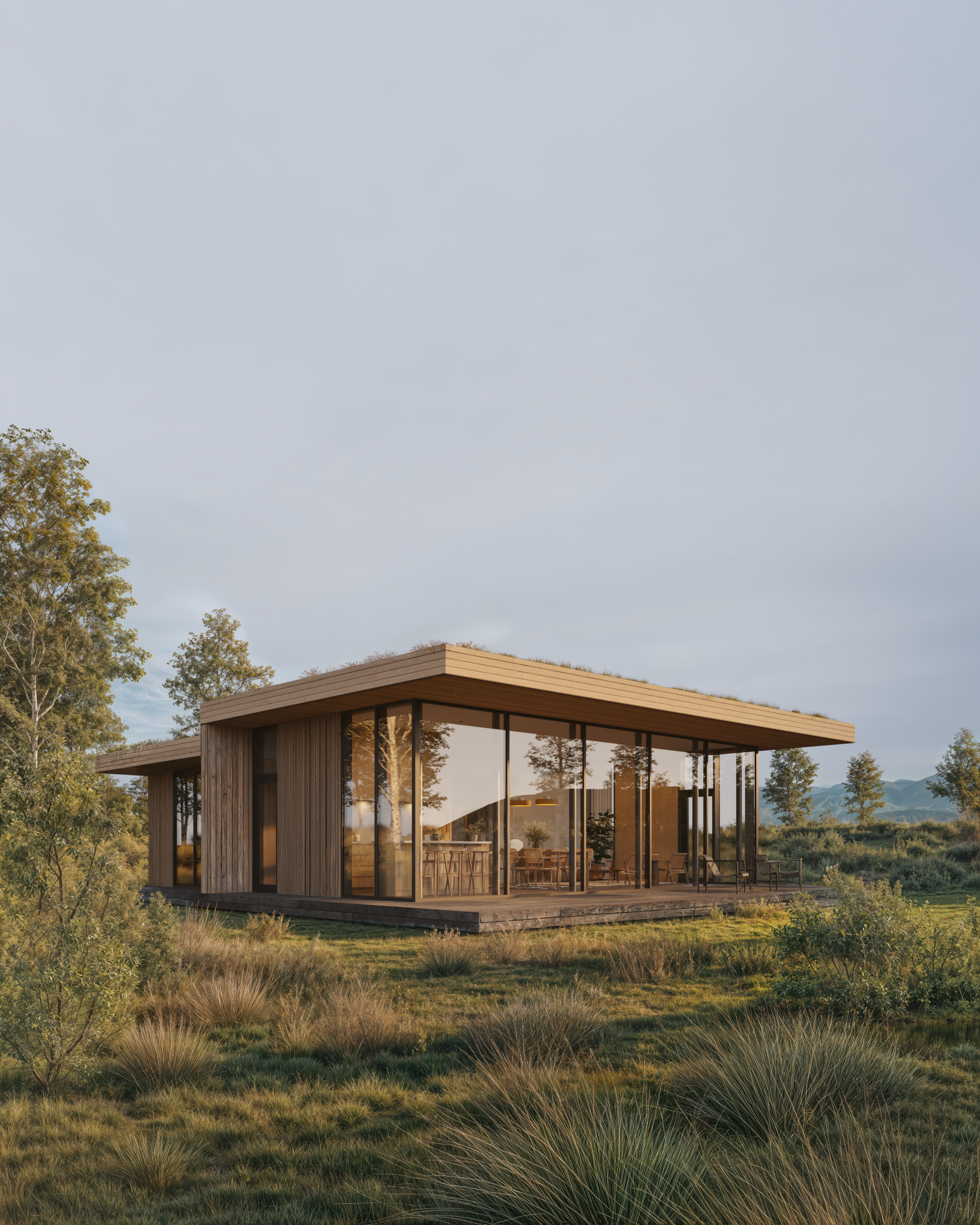Linear House view 1