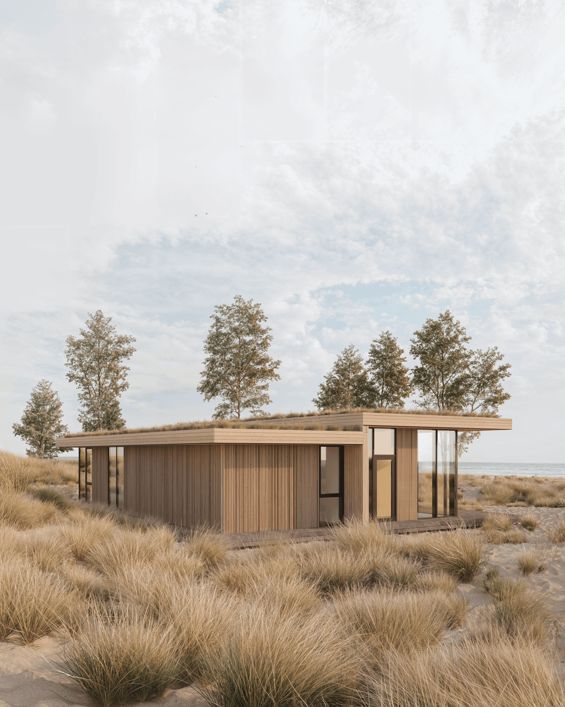 Linear House Medium view 11