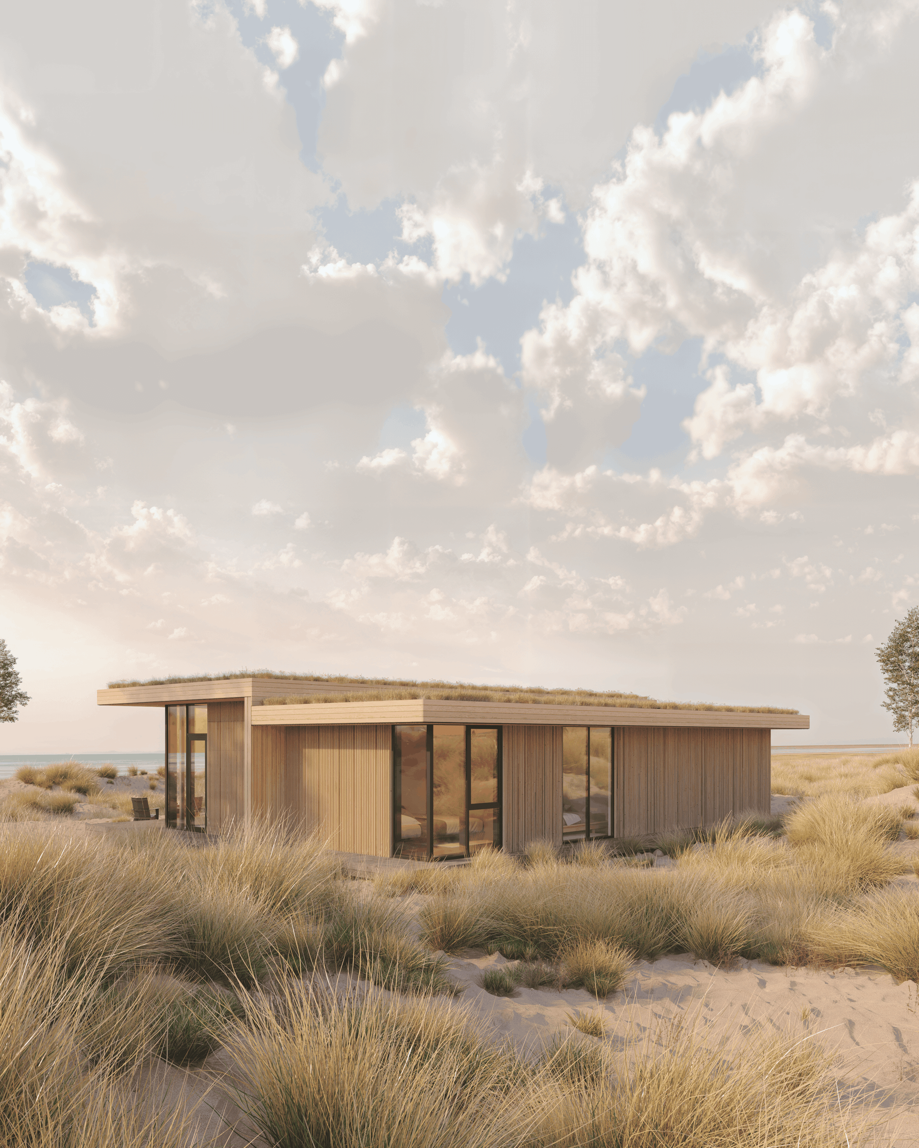 Linear House Medium view 12