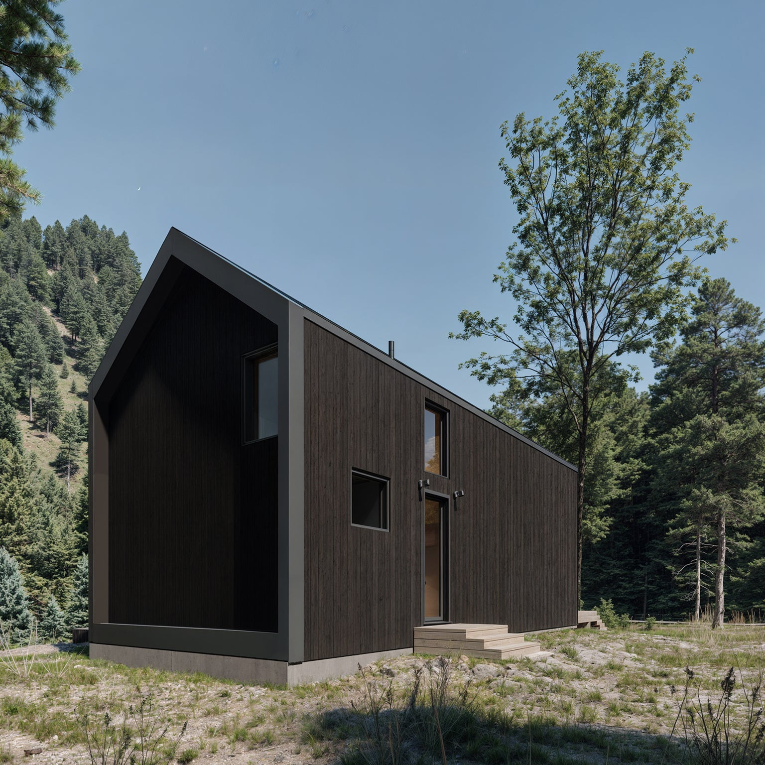 Modern Alpine 2025 view 2