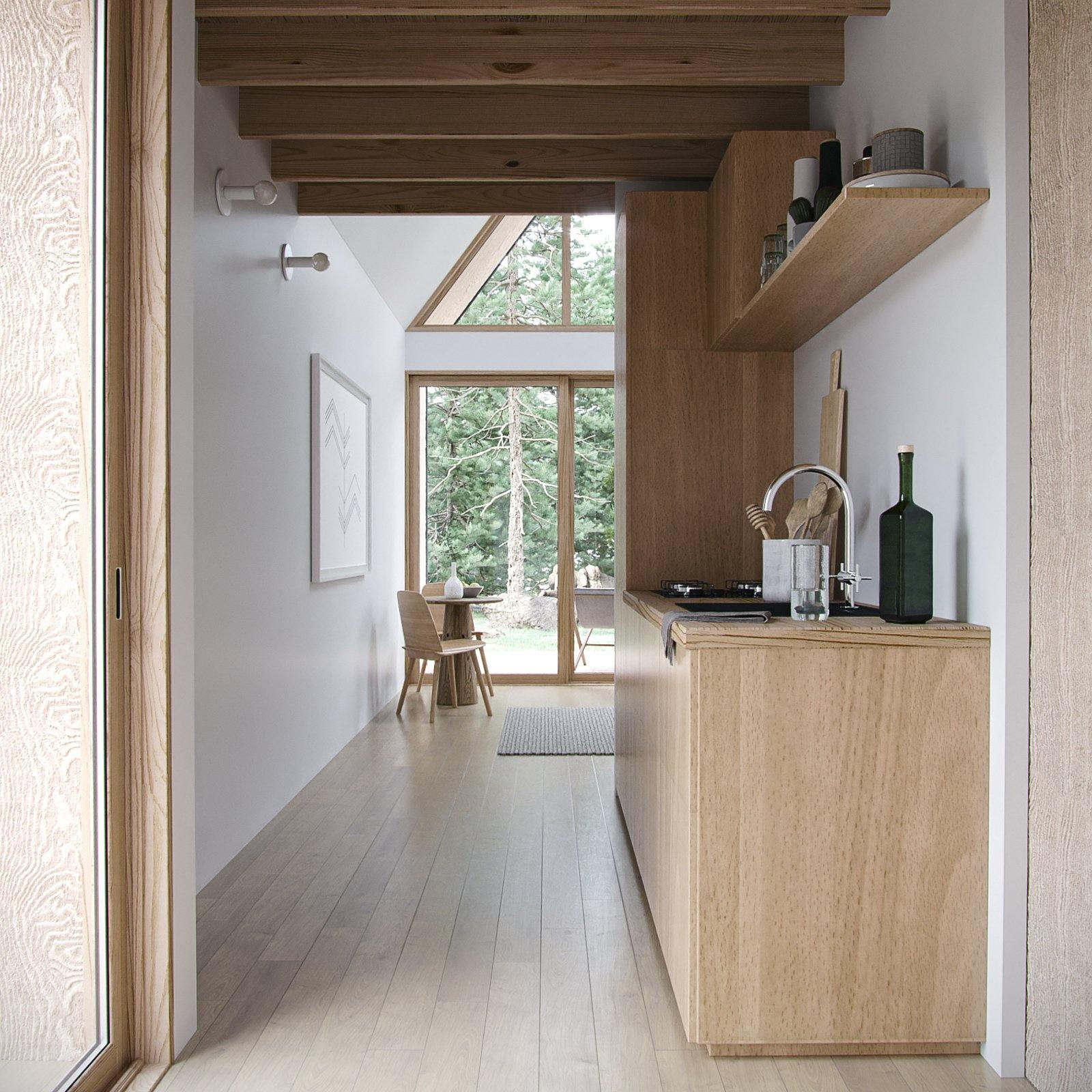 Modern Alpine Cabin view 6